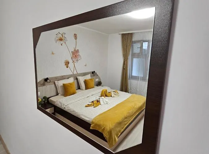 за гости криси гр. *